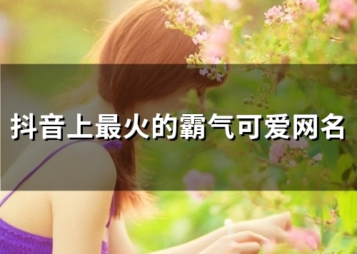 抖音上最火的霸气可爱网名(95个)