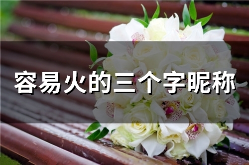 容易火的三个字昵称(134个)