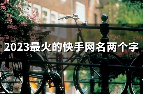 2023最火的快手网名两个字(51个)