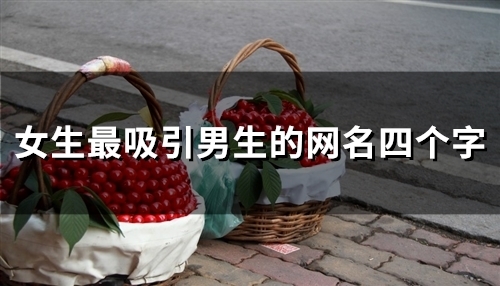 女生最吸引男生的网名四个字(143个)