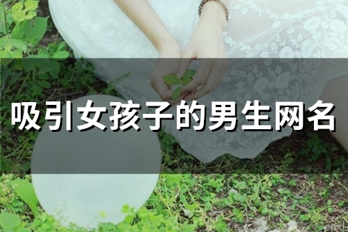 吸引女孩子的男生网名(精选122个)