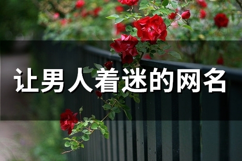 让男人着迷的网名(精选158个) 让男人着迷的网名(精选158个)