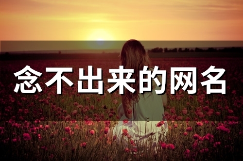 念不出来的网名(101个)