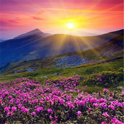 风水上最好的微信头像有哪些(精选16张)