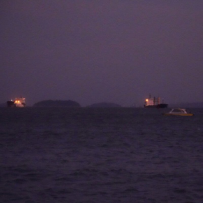 微信头像最好看的花各种各样(26张)