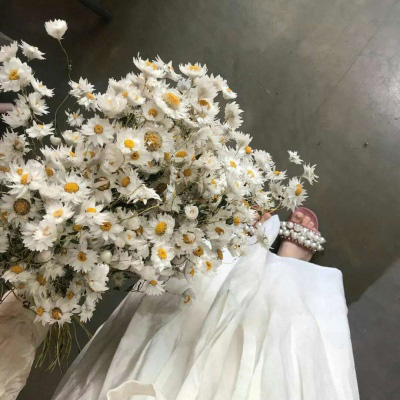 微信头像最好看的花各种各样(26张)