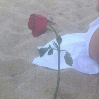 微信头像最好看的玫瑰花(22张)