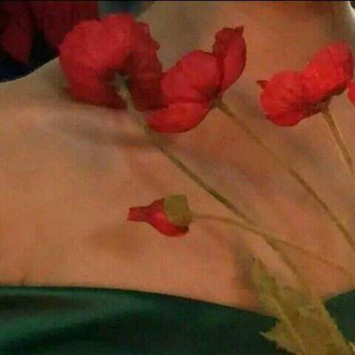 微信头像最好看的玫瑰花(22张)