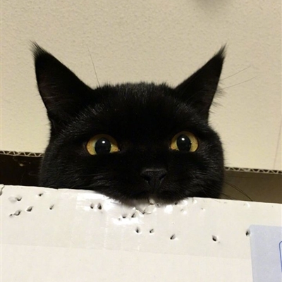 好看到爆的微信头像(30张)