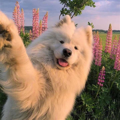 好看到爆的微信头像(30张)