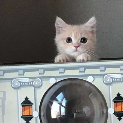 2023最火搞笑头像图片(精选16张)