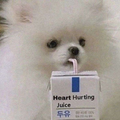 2023最火搞笑头像图片(精选16张)