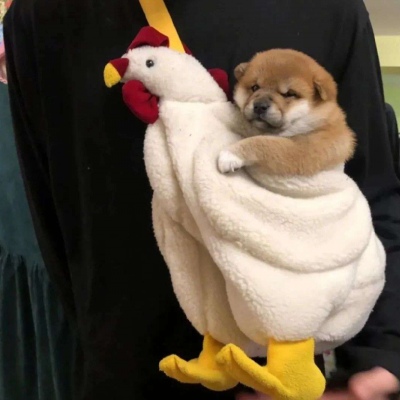 2023最火搞笑头像图片(精选16张)