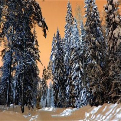 2023年最火微信头像雪景(12张)