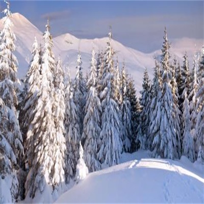 2023年最火微信头像雪景(12张)