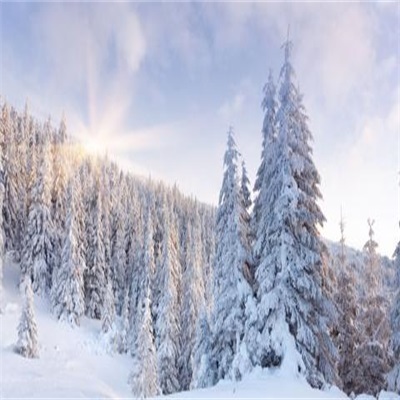 2023年最火微信头像雪景(12张)