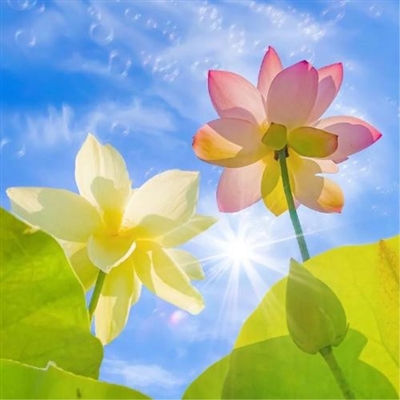 2023最火爆同学头像图片(24张)