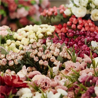 2023年最美的鲜花头像(精选12张)