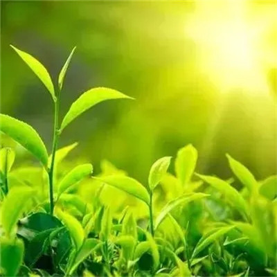 2023最火微信头像风景(精选18张)