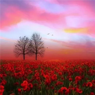 2023最火微信头像风景(精选18张)