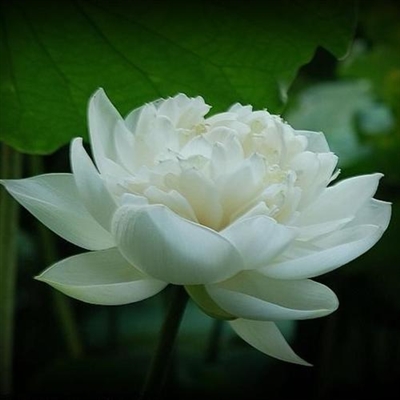 2023最火微信头像风景(精选18张)