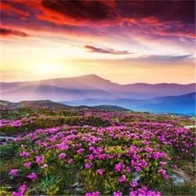 2023最火微信头像风景(精选18张)