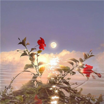 2023年最火的风景头像(32张)