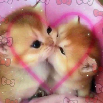 2023最火动物头像图片(精选24张)