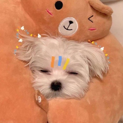 2023最火动物头像图片(精选24张)