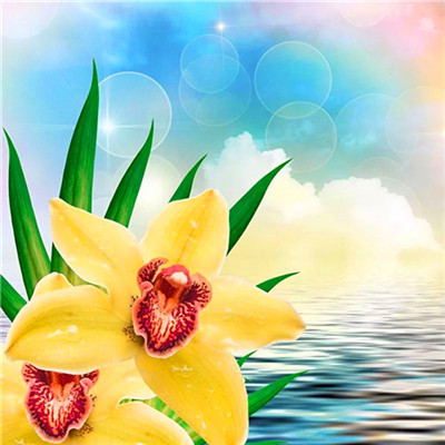 2023最火老年头像(精选16张)