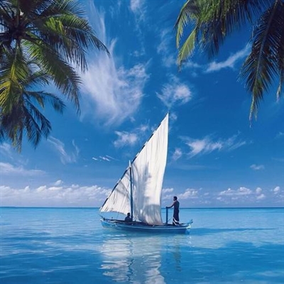 2023最火头像照片高清(31张)