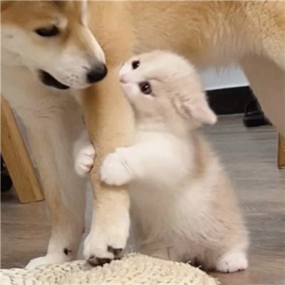 2023最火头像照片高清(31张)