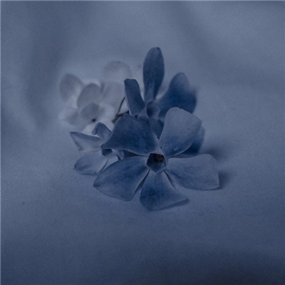 微信最美的头像图片简单漂亮(24张)