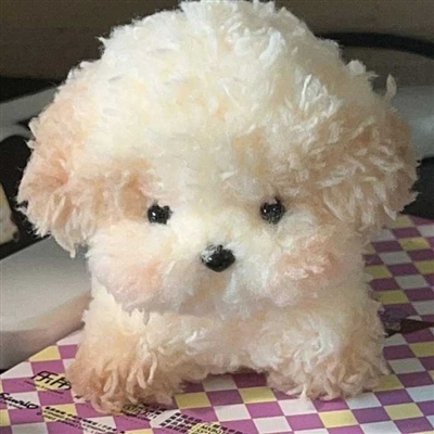 适合做微信头像的图片唯美(精选24张)