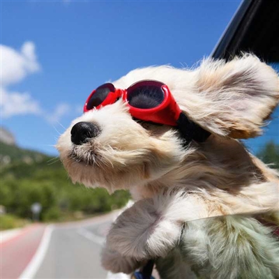 适合做微信头像的图片唯美(精选24张)