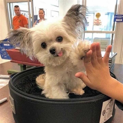 适合做微信头像的图片唯美(精选24张)