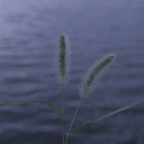 好看的风景头像图片(22张)