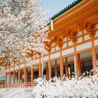 好看的风景头像图片(22张)