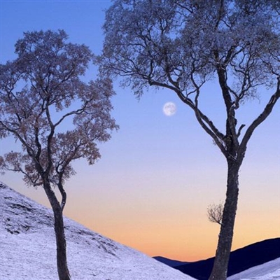 自然随性一点的头像(精选24张)