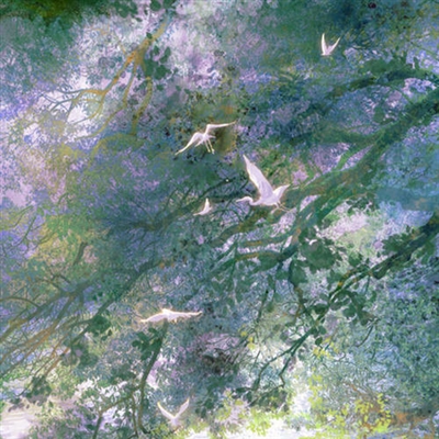 微信头像80后女人专用(精选16张)