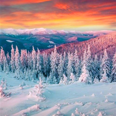 微信头像80后女人专用(精选16张)