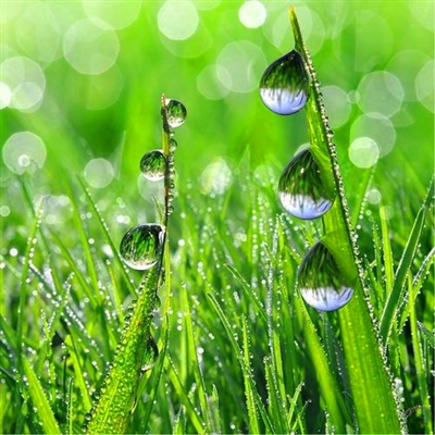 微信头像80后女人专用景物(16张)