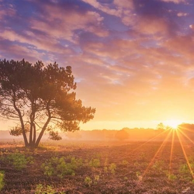 朝气蓬勃积极向上的微信头像(24张)