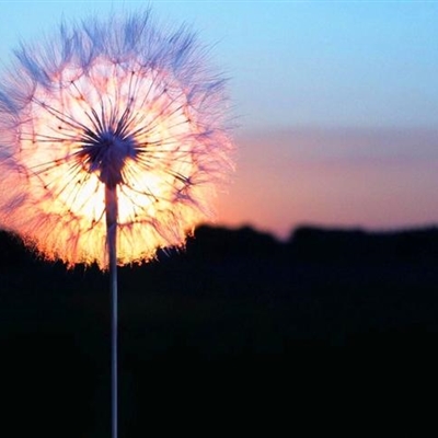 朝气蓬勃积极向上的微信头像(24张)