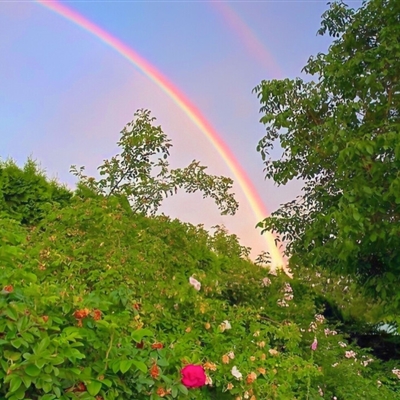 年轻的微信头像高清(14张)