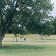 年轻的微信头像高清(14张)