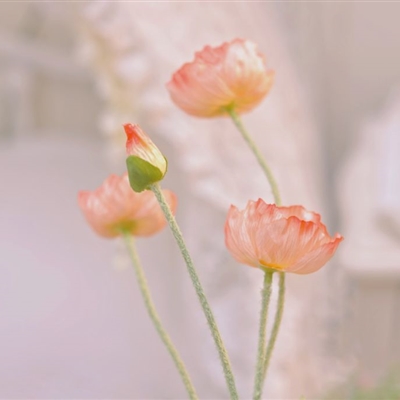 年轻的微信头像高清(14张)