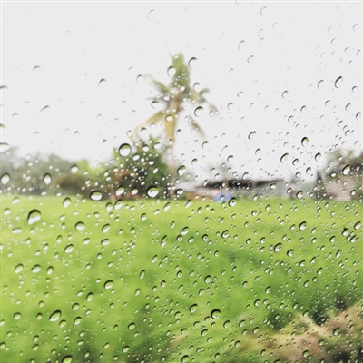 年轻的微信头像高清(14张)