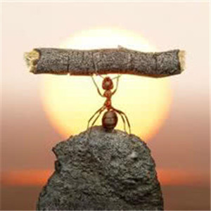 男人正能量有魅力的头像(精选32张)