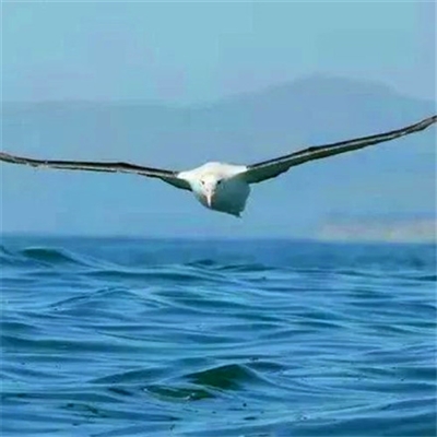 父亲用的头像图片大全(16张)